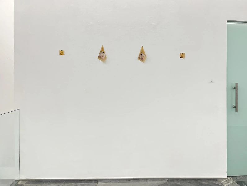 Piel revelada · Obra 5